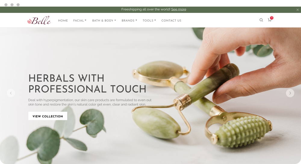 shopbase teamplate 10