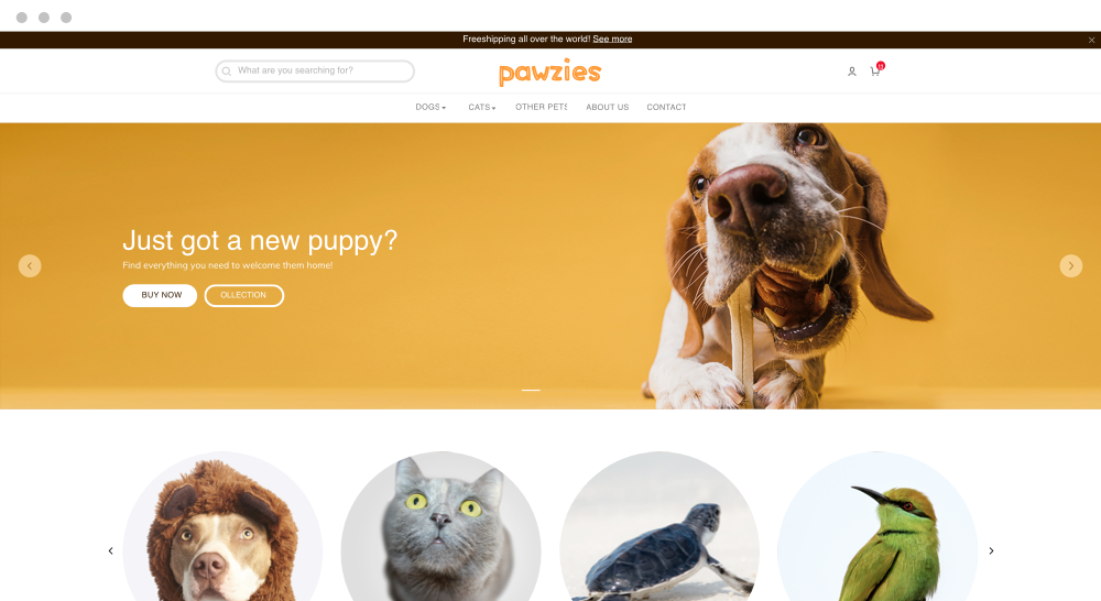 shopbase teamplate 5