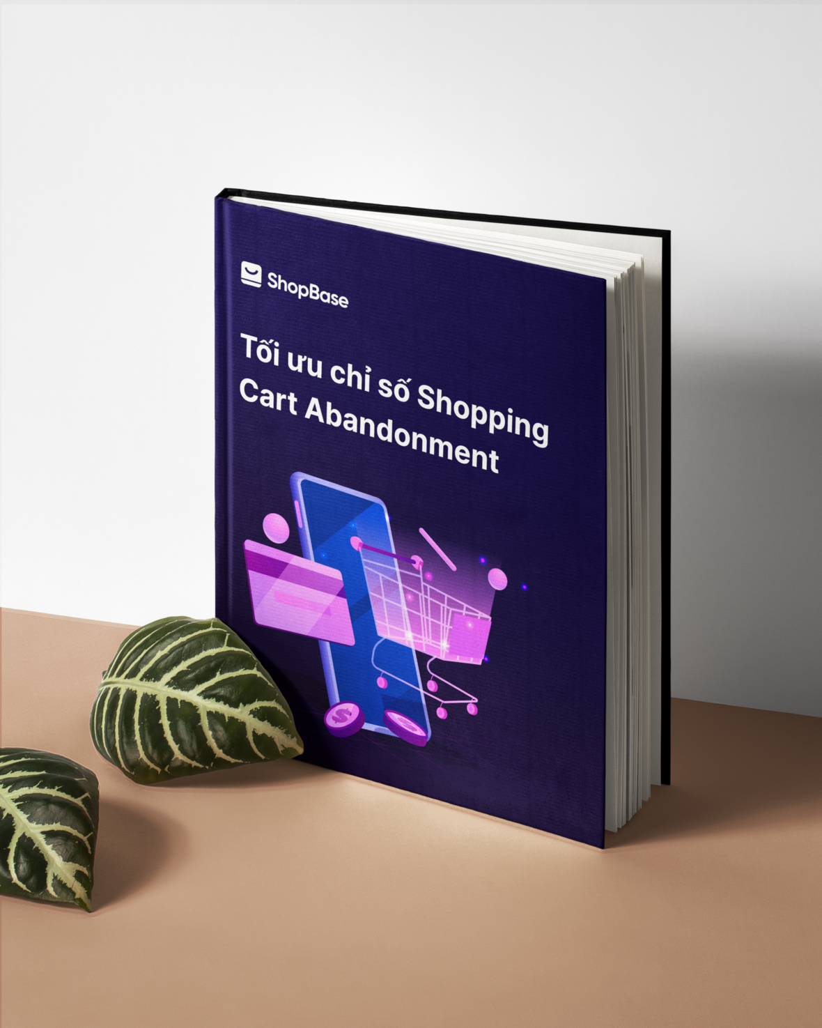 shopbase learning hub