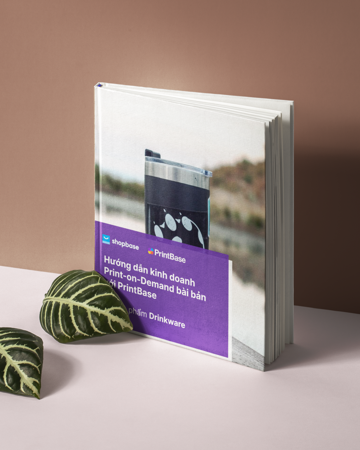 shopbase learning hub