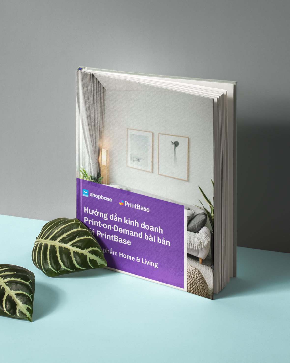 shopbase learning hub