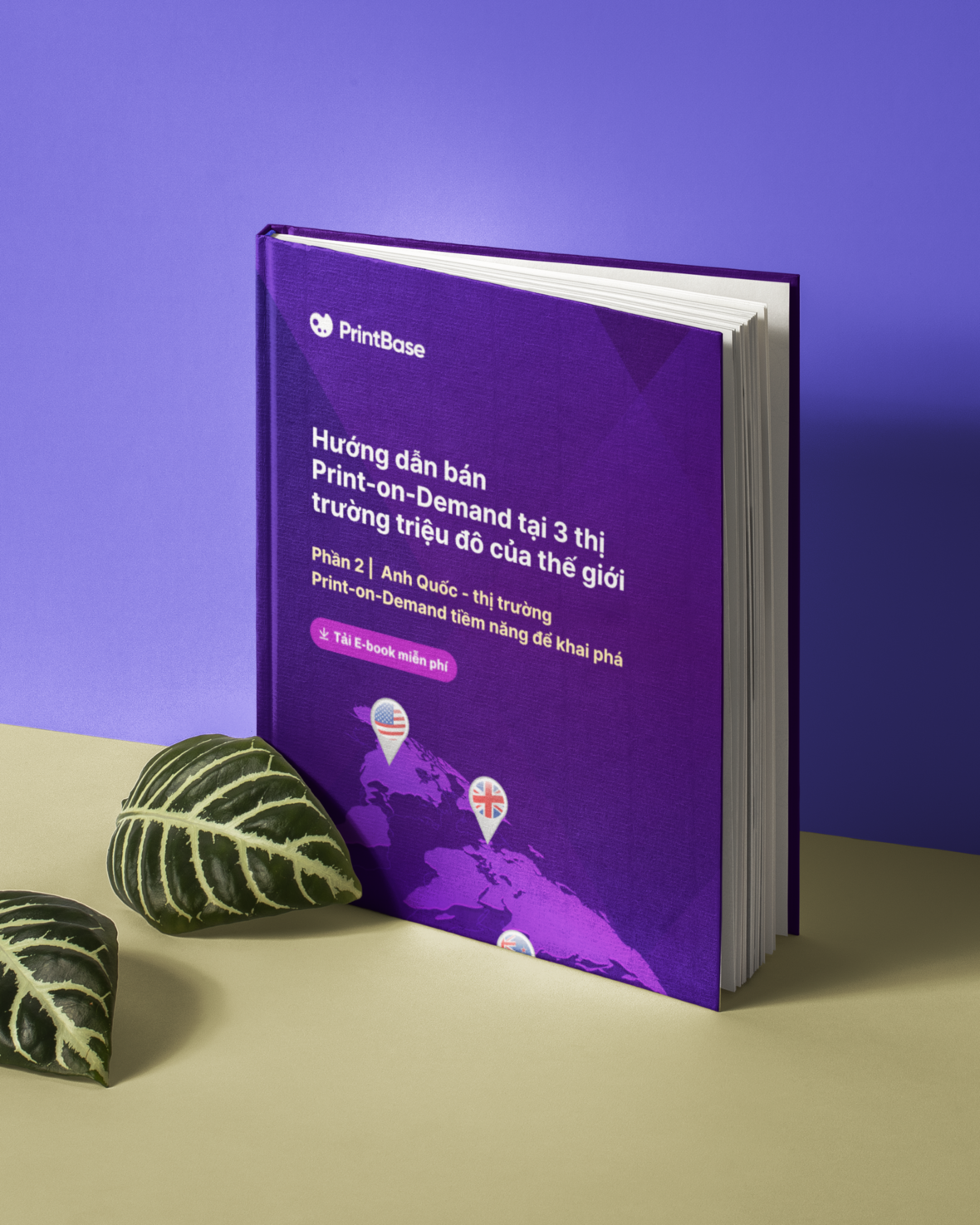 shopbase learning hub