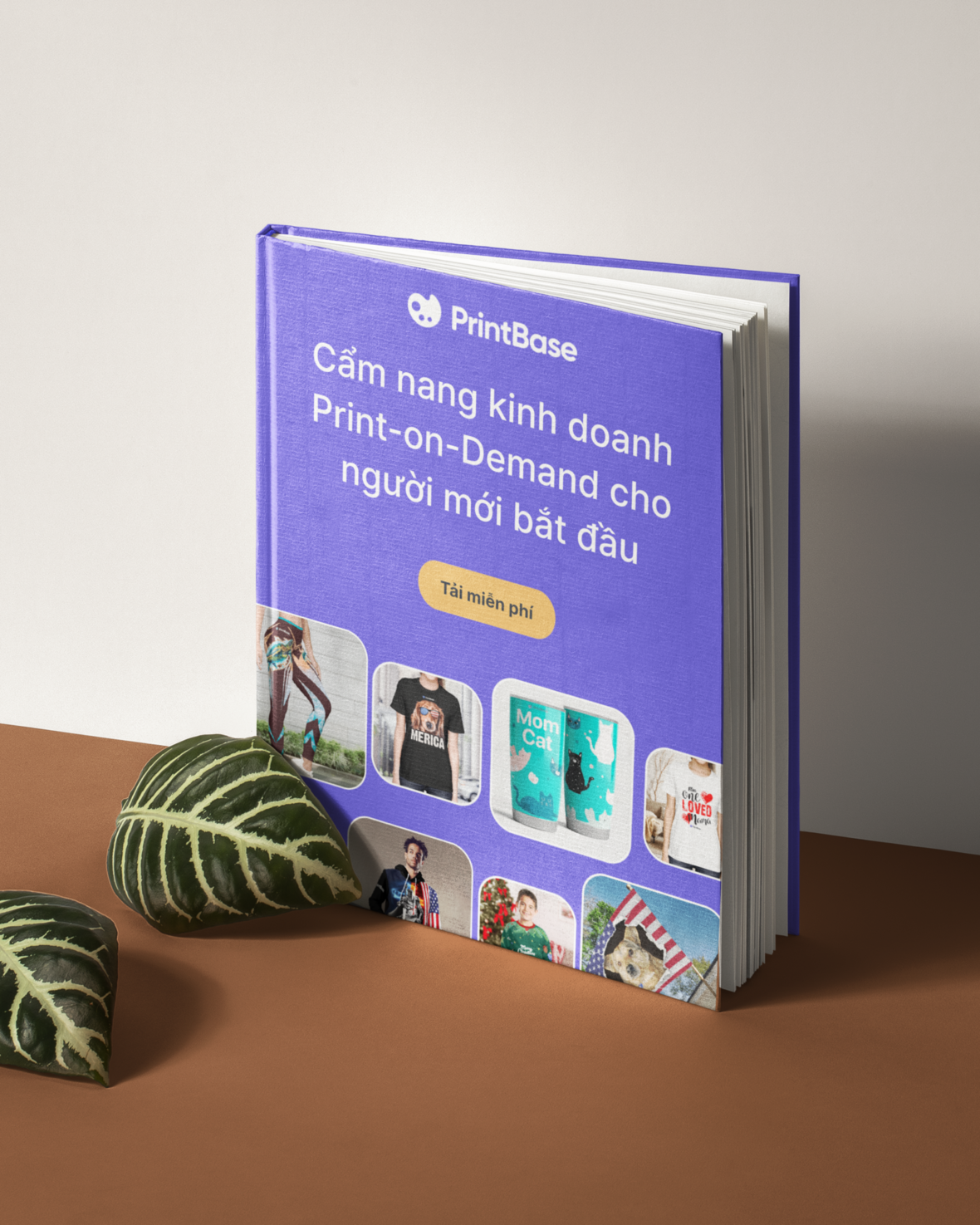 shopbase learning hub